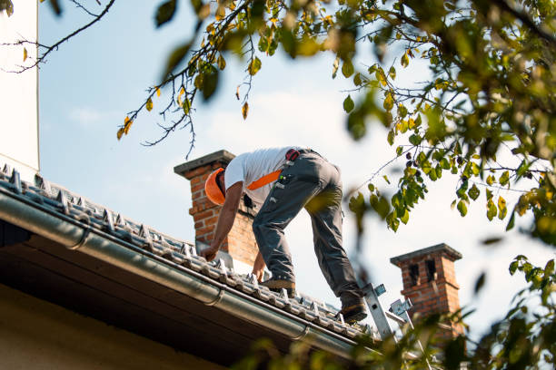 Best Slate Roofing Contractor  in Harlan, IA